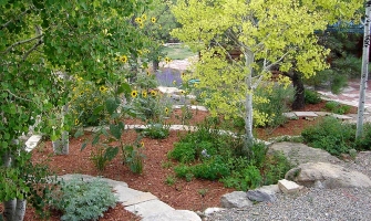 Hardscaping creates paths and planting areas