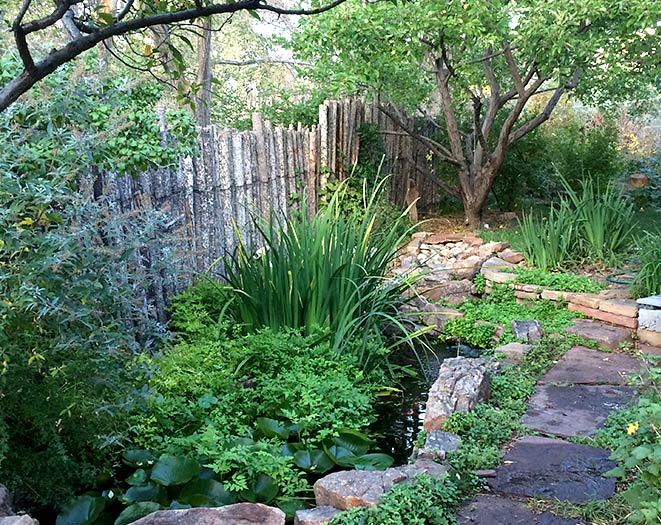 Permaculture landscaping can include water features, edible plants, fruit trees, native grasses and wildflowers and much more.
